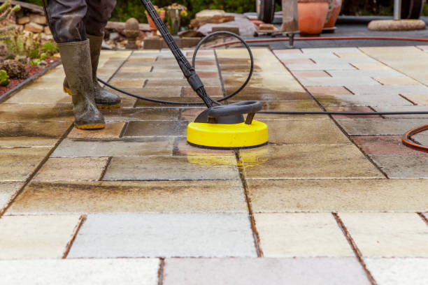 Best Animal Enclosure Cleaning  in West Long Branch, NJ